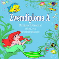 Tegeltje Zwemdiploma Meisje